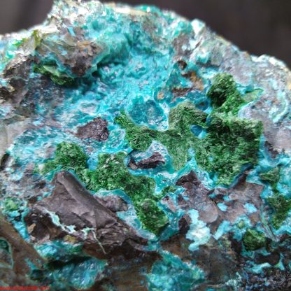 (LGM061) Big Chrysocolla with Heterogenite and Malachite Traces  From Congo Congrats on your TSI Michael Brodhagen - Image 4