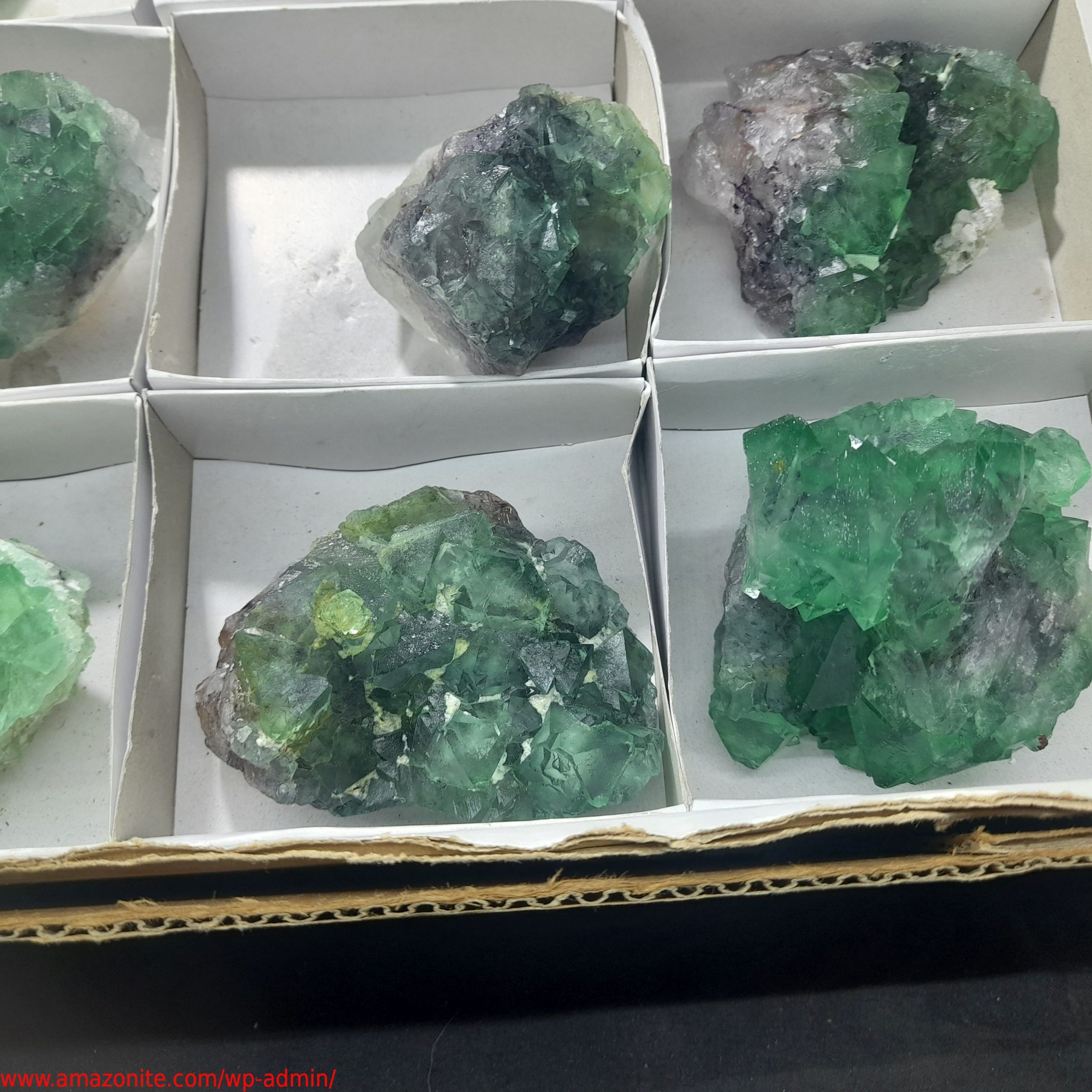 (WM03945) One Box Of 12 Fluorite Mineral Specimens From Riemvasmaak ...