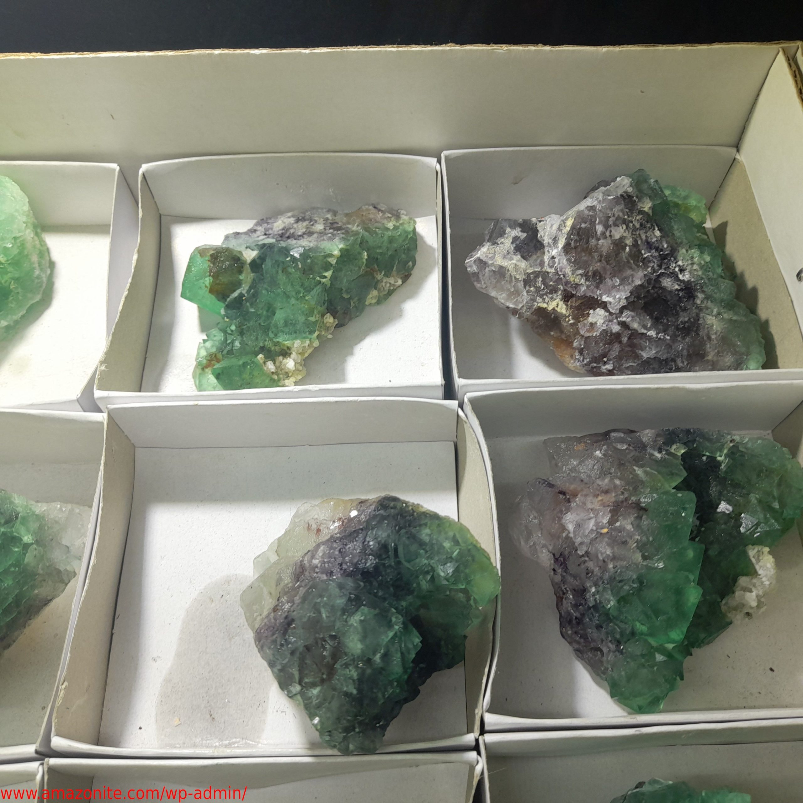 (WM03945) One Box Of 12 Fluorite Mineral Specimens From Riemvasmaak ...