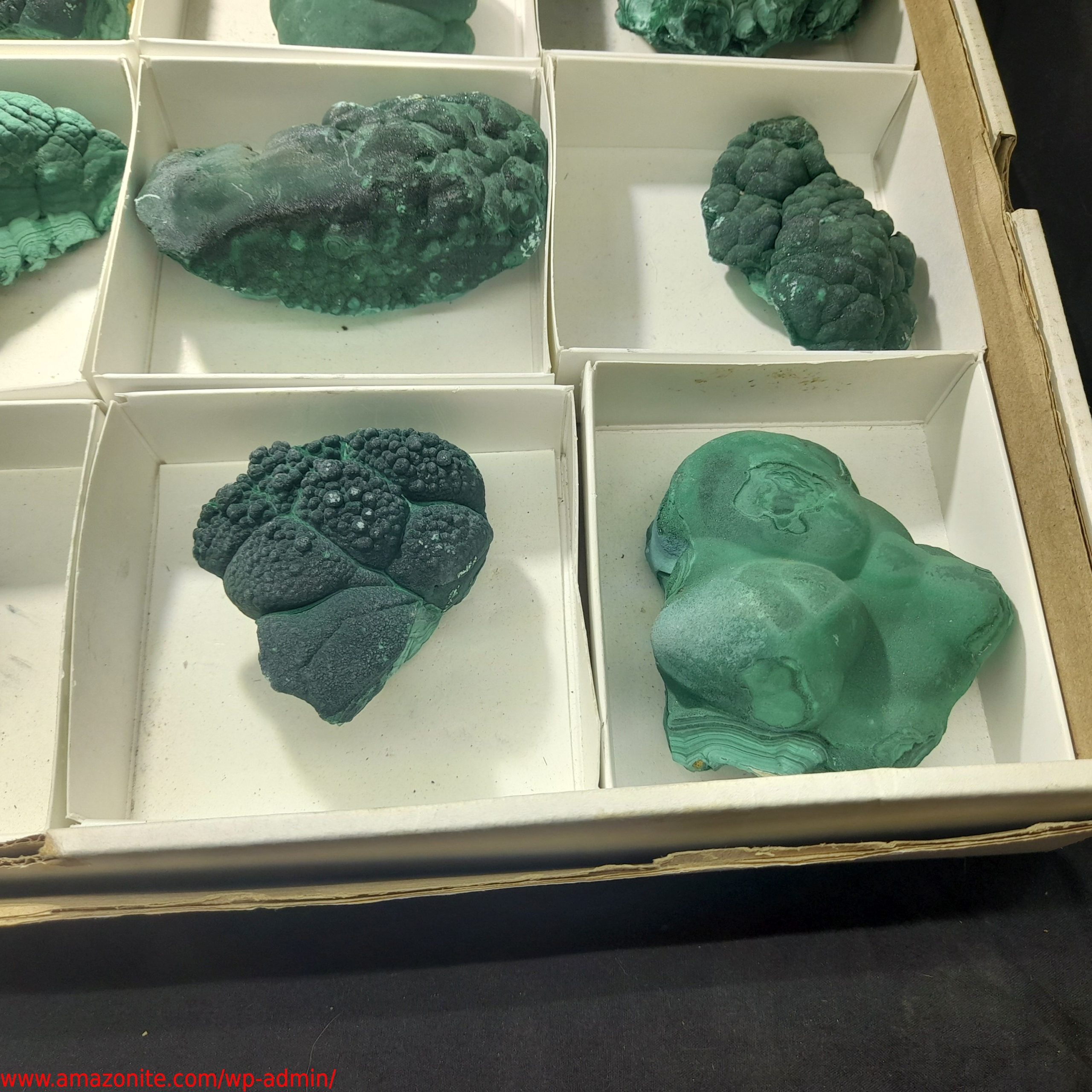 (WM03950) One Box Of 12 Malachite Mineral Specimens From Congo » AMAZONITE