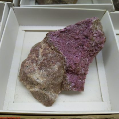 (WM03971) One Box of 6 Colbaltion Calcite Mineral Specimen From Congo - Image 4