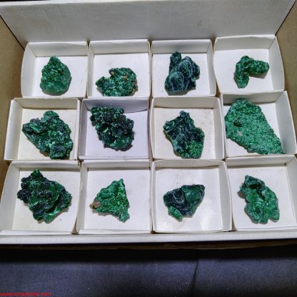 (WM03980) One Box of 12 Silky Malachite Mineral Specimens From Congo