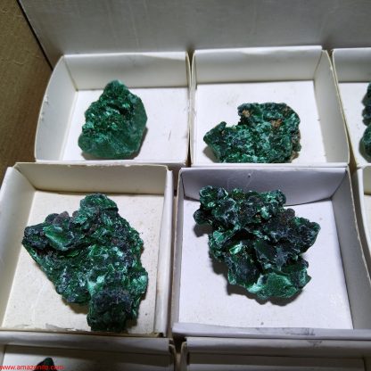 (WM03980) One Box of 12 Silky Malachite Mineral Specimens From Congo - Image 6