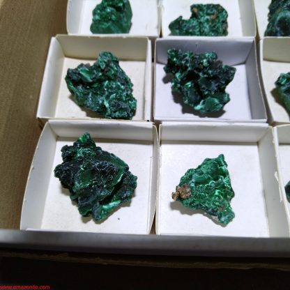 (WM03980) One Box of 12 Silky Malachite Mineral Specimens From Congo - Image 4