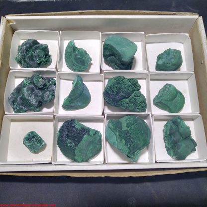 (WM04017) One Box of 12 Malachite Mineral Specimens From Congo (Michelle Blume)