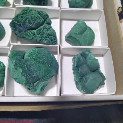(WM04017) One Box of 12 Malachite Mineral Specimens From Congo (Michelle Blume) - Image 2
