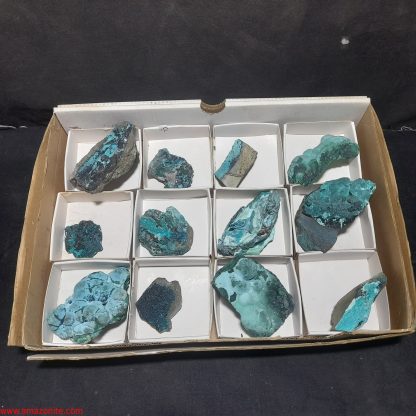 (WM03986) One Box Of 12 Chrysocolla Mineral Specimens From Congo Rachel Linderman