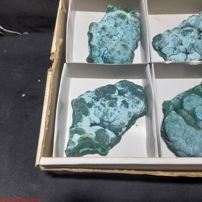 (WM03989) One Box Of 6 Botryoidal Malachite/Chrysocolla Mineral Specimens From Congo Brandi Parks - Image 4