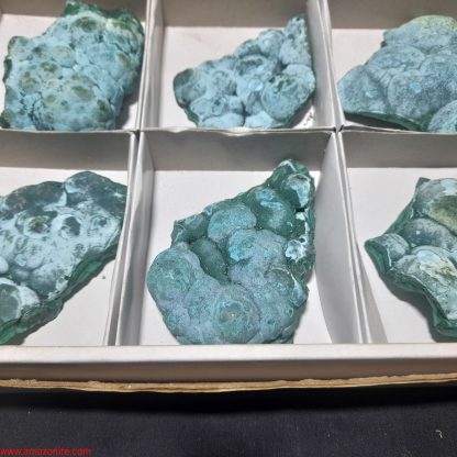 (WM03989) One Box Of 6 Botryoidal Malachite/Chrysocolla Mineral Specimens From Congo Brandi Parks - Image 5