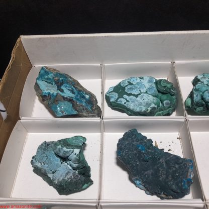 (WM03993) One Box Of 6 Botryoidal Malachite/Chrysocolla Mineral Specimens From Congo - Image 3