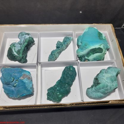 (WM04000) One Box Of 6 Botryoidal Malachite/Chrysocolla Mineral Specimens From Congo Gail Armstrong