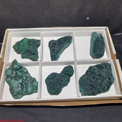 (WM03998) One Box Of 6 Botryoidal Malachite Mineral Specimens From Congo