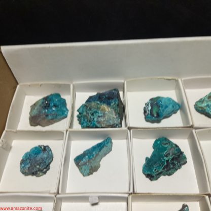 (WM04001) One Box Of 24 Chrysocolla Mineral Specimens From Congo Rachel Linderman - Image 3