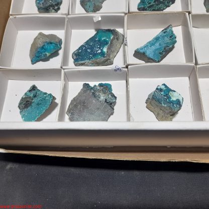 (WM04001) One Box Of 24 Chrysocolla Mineral Specimens From Congo Rachel Linderman - Image 4
