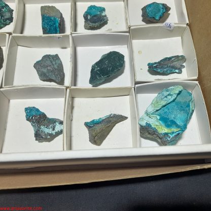(WM04001) One Box Of 24 Chrysocolla Mineral Specimens From Congo Rachel Linderman - Image 5