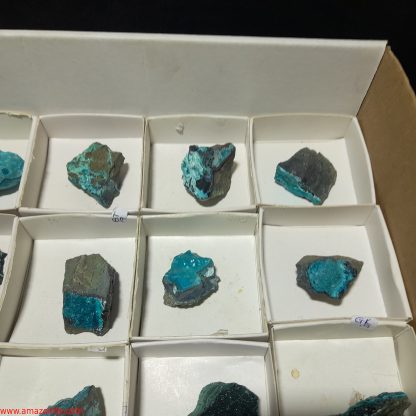 (WM04001) One Box Of 24 Chrysocolla Mineral Specimens From Congo Rachel Linderman - Image 6