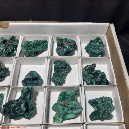 (WM04030) One Box Of 35 Malachite Mineral Specimens From Congo Trina Holmes - Image 7