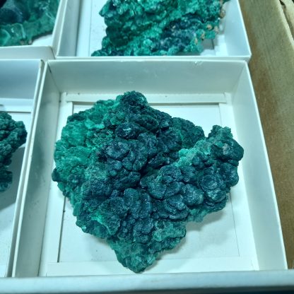 (WM04063) One Box Of 6 Malalchite Mineral Specimens From Congo - Image 8