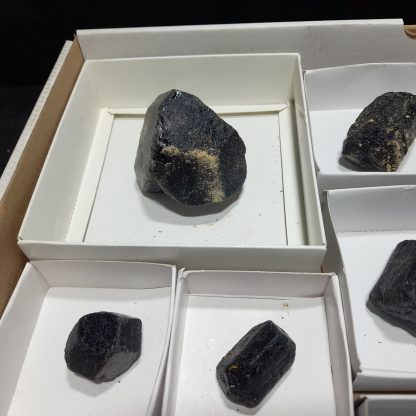 (WM04096) One Box Of 23 Tourmaline Mineral Specimens From Zimbabwe Vikki Stelfox - Image 3