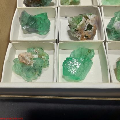 (WM04037) One Box Of 12 Fluorite Mineral Specimens From Riemvasmaak Joey Bolla - Image 4