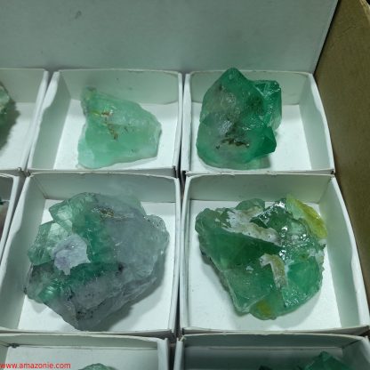 (WM04037) One Box Of 12 Fluorite Mineral Specimens From Riemvasmaak Joey Bolla - Image 6