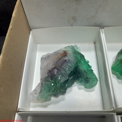 (WM04036) One Box Of 6 Fluorite Mineral Specimens From Riemvasmaak Rachel Linderman - Image 3
