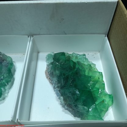 (WM04036) One Box Of 6 Fluorite Mineral Specimens From Riemvasmaak Rachel Linderman - Image 7