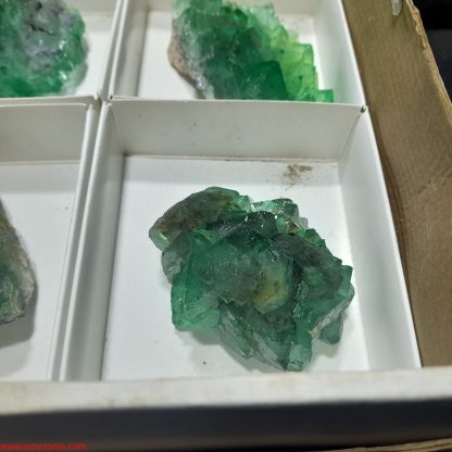 (WM04036) One Box Of 6 Fluorite Mineral Specimens From Riemvasmaak Rachel Linderman - Image 8