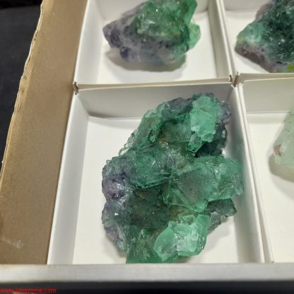 (WM04035) One Box Of 6 Fluorite Mineral Specimens From Riemvasmaak Vance Hewitt - Image 3