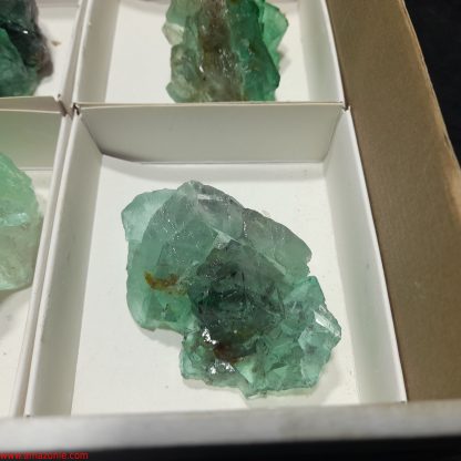 (WM04035) One Box Of 6 Fluorite Mineral Specimens From Riemvasmaak Vance Hewitt - Image 7