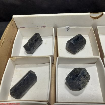 (WM04039) One Box Of 12 Tourmaline Mineral Specimens From Zimbabwe Trevor Duncan - Image 3