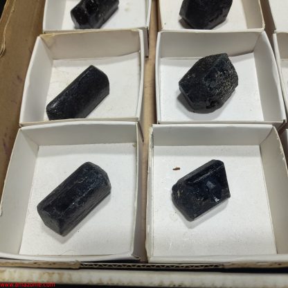 (WM04039) One Box Of 12 Tourmaline Mineral Specimens From Zimbabwe Trevor Duncan - Image 4