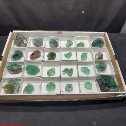 (WM04047) One Box Of 24 Fluorite Mineral Specimens From Riemvasmaak Vance Hewitt