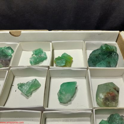 (WM04047) One Box Of 24 Fluorite Mineral Specimens From Riemvasmaak Vance Hewitt - Image 5