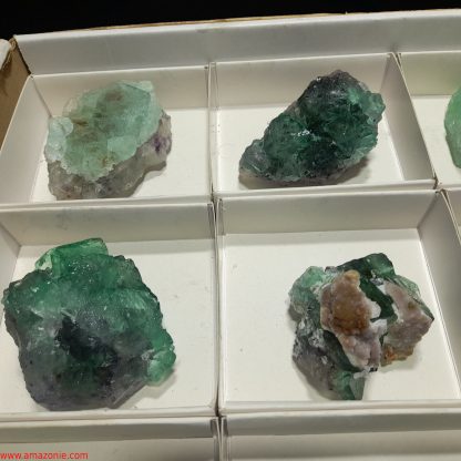 (WM04045) One Box Of 12 Fluorite Mineral Specimens From Riemvasmaak Joey Bolla - Image 3