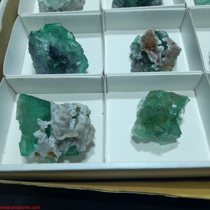 (WM04045) One Box Of 12 Fluorite Mineral Specimens From Riemvasmaak Joey Bolla - Image 4