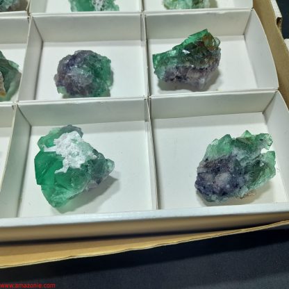 (WM04045) One Box Of 12 Fluorite Mineral Specimens From Riemvasmaak Joey Bolla - Image 5