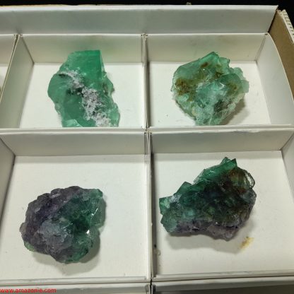 (WM04045) One Box Of 12 Fluorite Mineral Specimens From Riemvasmaak Joey Bolla - Image 6