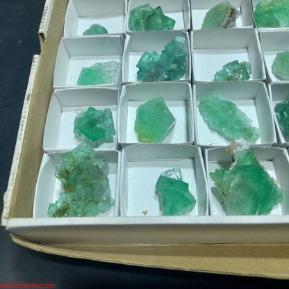 (WM04044) One Box Of 35 Fluorite Mineral Specimens From Riemvasmaak Joey Bolla - Image 4