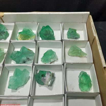 (WM04044) One Box Of 35 Fluorite Mineral Specimens From Riemvasmaak Joey Bolla - Image 7