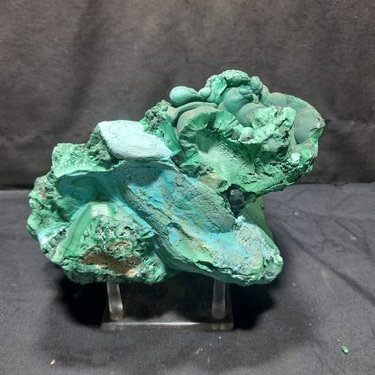 (LGM079) Large Botryoidal Malachite Mineral Specimen From Congo Congrats om your TSI Vance Hewitt - Image 4