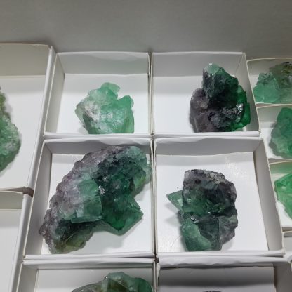 (WM04125) One Box Of 13 Fluorite Mineral Specimens From Riemvasmaak, Orange River - Image 6