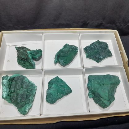 (WM04138) One Box Of 6 Malachite Mineral Specimens From Congo