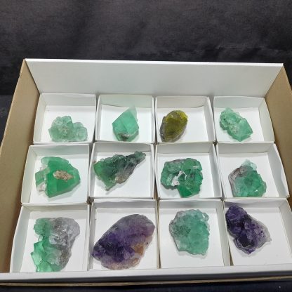 (WM04141) One Box Of 12 Fluorite Mineral Specimens From Riemvasmaak Loreen Sophia - Image 2