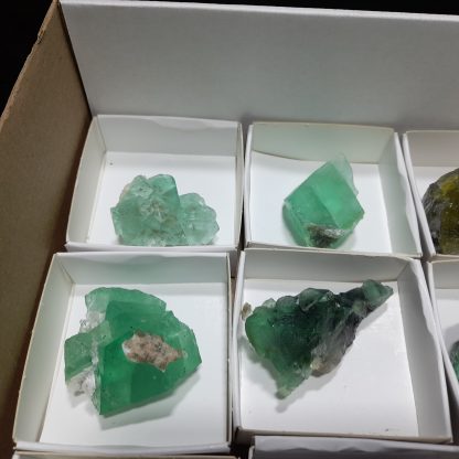 (WM04141) One Box Of 12 Fluorite Mineral Specimens From Riemvasmaak Loreen Sophia - Image 3