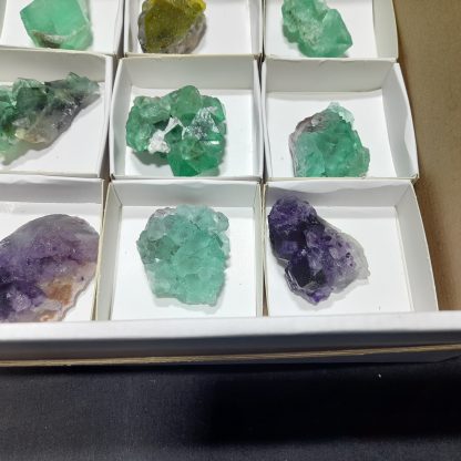 (WM04141) One Box Of 12 Fluorite Mineral Specimens From Riemvasmaak Loreen Sophia - Image 5