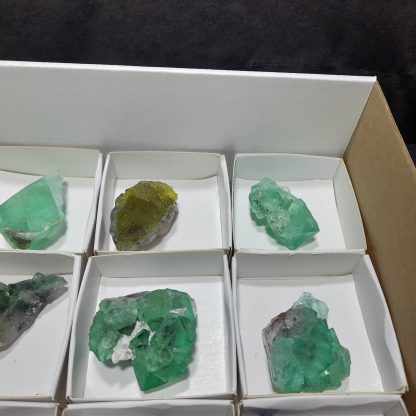 (WM04141) One Box Of 12 Fluorite Mineral Specimens From Riemvasmaak Loreen Sophia - Image 6