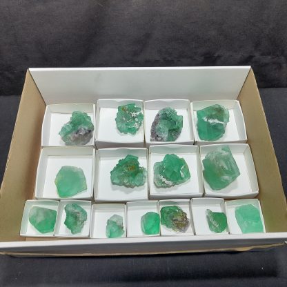 (WM04148) One Box Of 15 Fluorite Mineral Specimens From Riemvasmmaak - Image 2