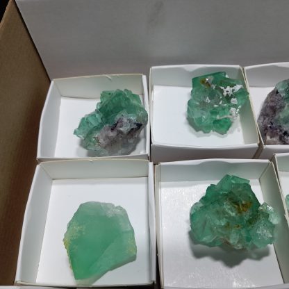 (WM04148) One Box Of 15 Fluorite Mineral Specimens From Riemvasmmaak - Image 3