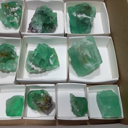 (WM04148) One Box Of 15 Fluorite Mineral Specimens From Riemvasmmaak - Image 5